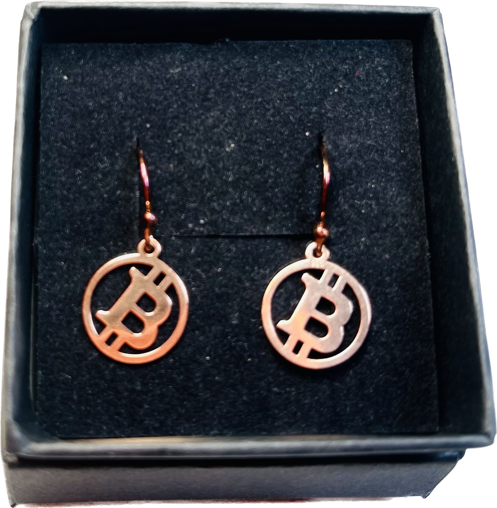 Bitcoin Earring 925 Silver