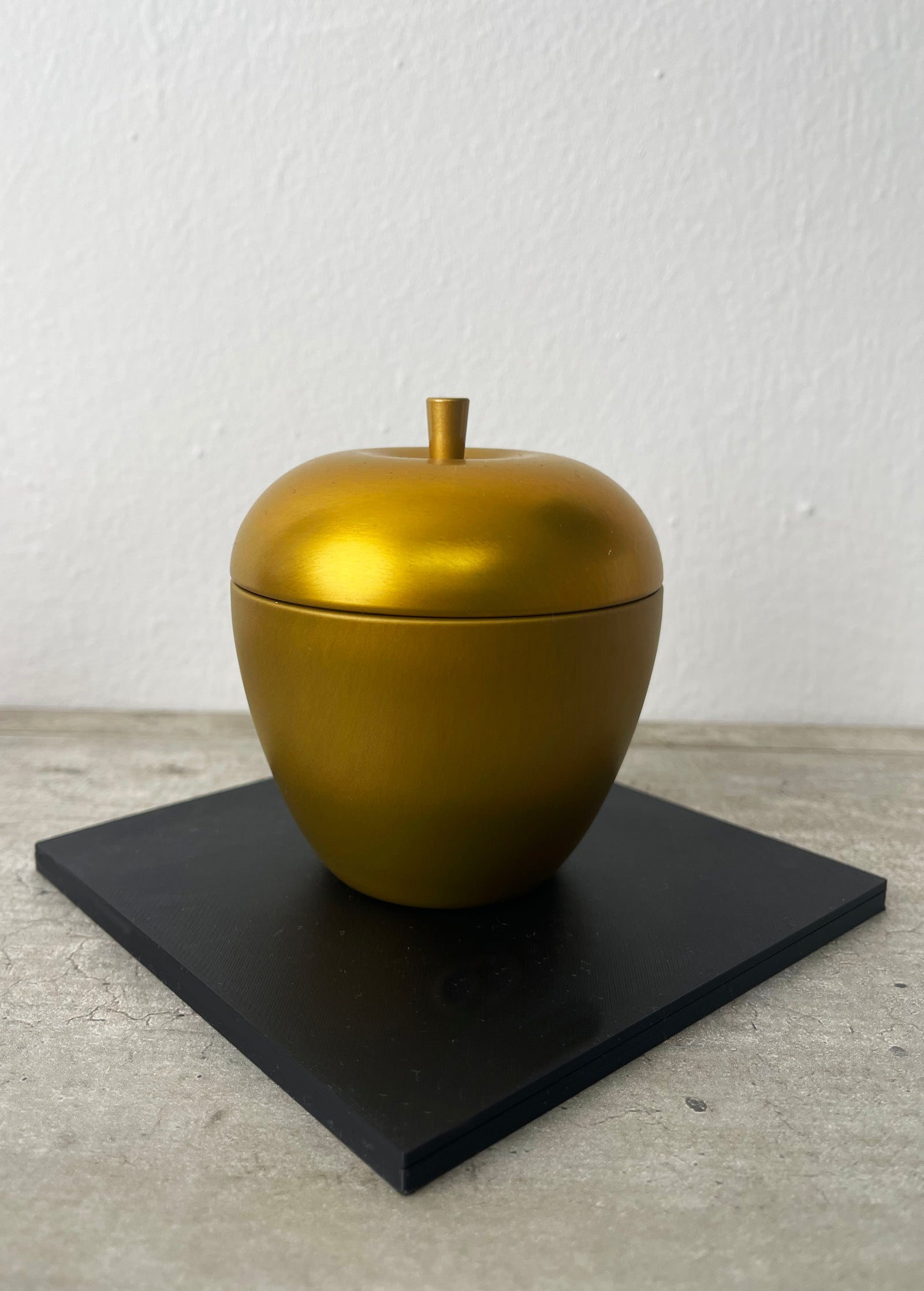 Steel Wallet Seed Phrase Backup - K79 - Hülle