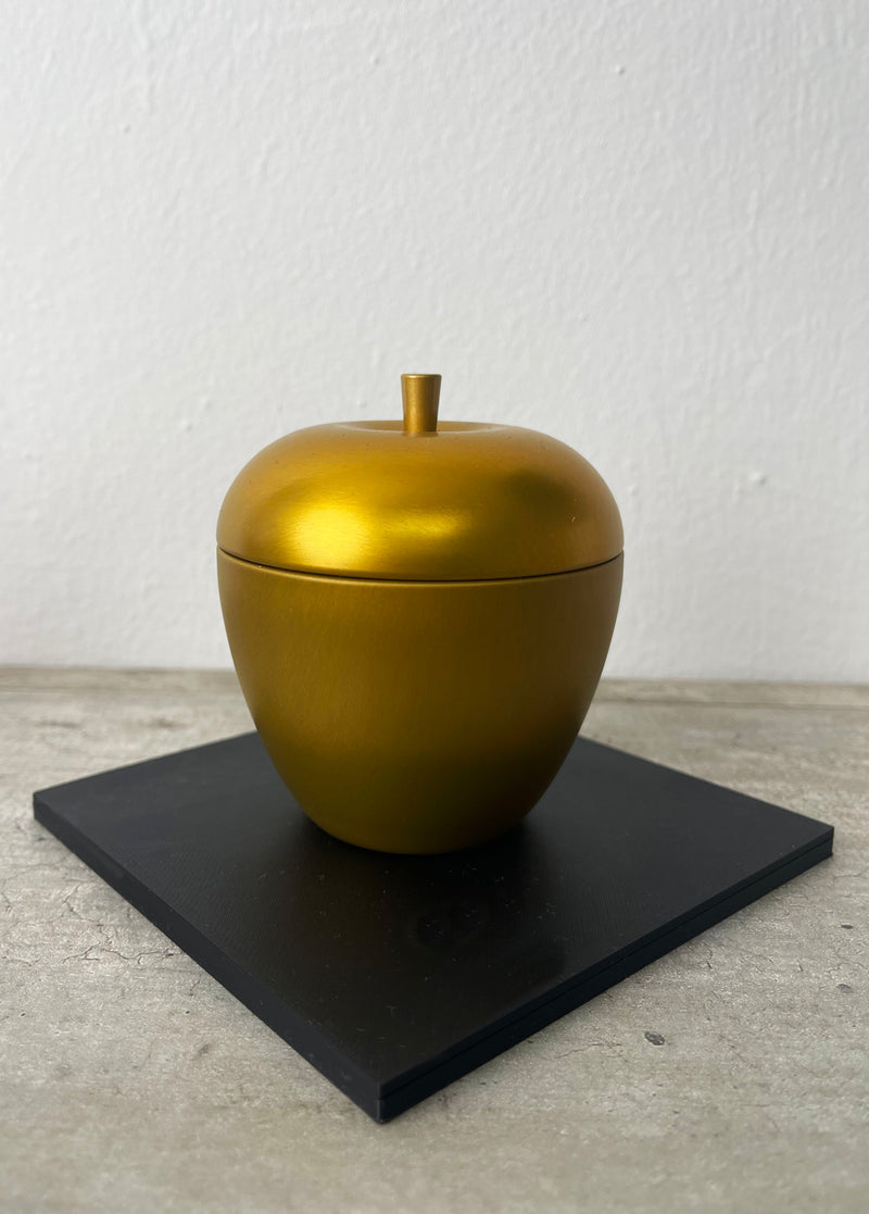 Steel Wallet Seed Phrase Backup - K79 - Hülle