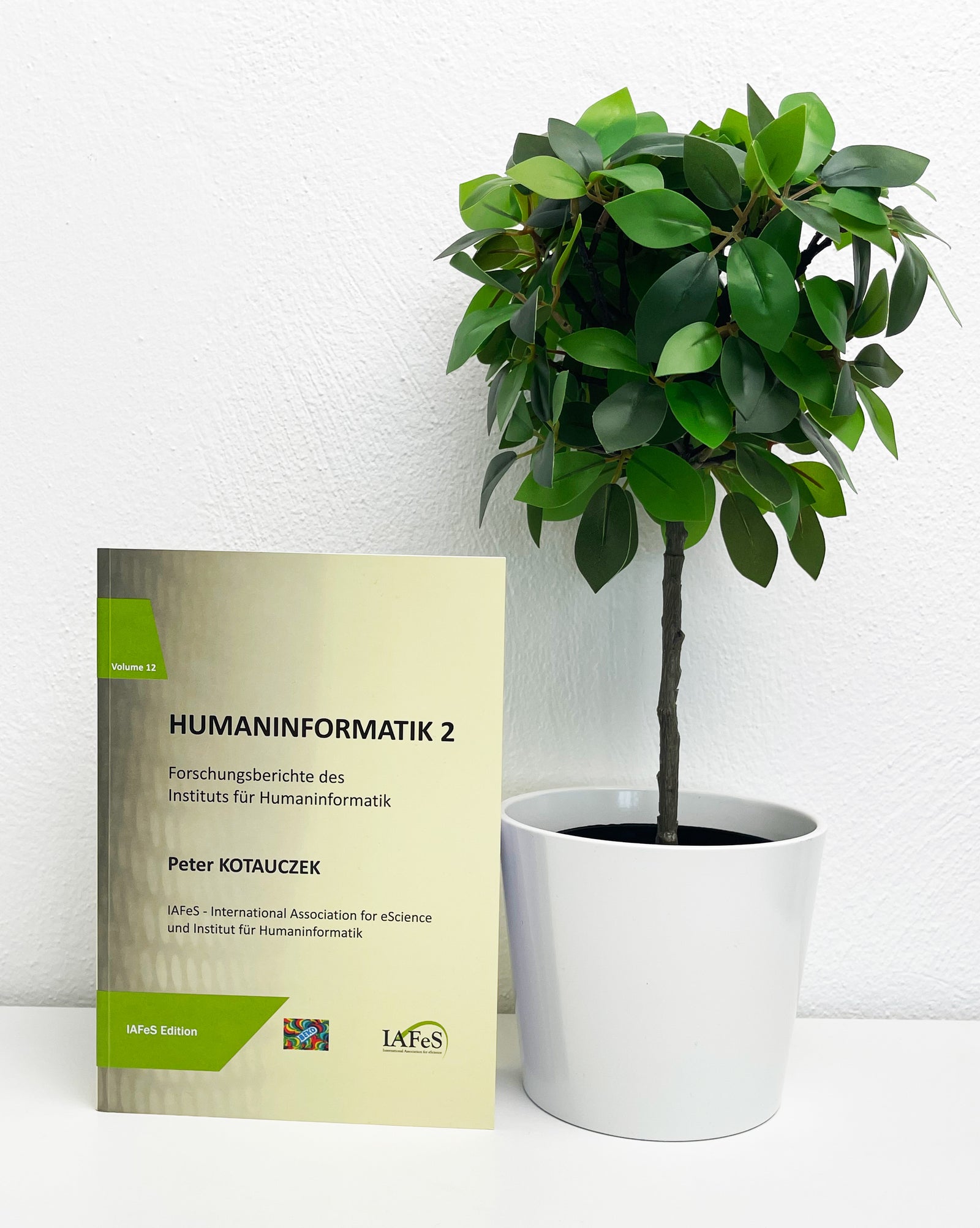 Peter Kotauczek Humaninformatik 2 Buch