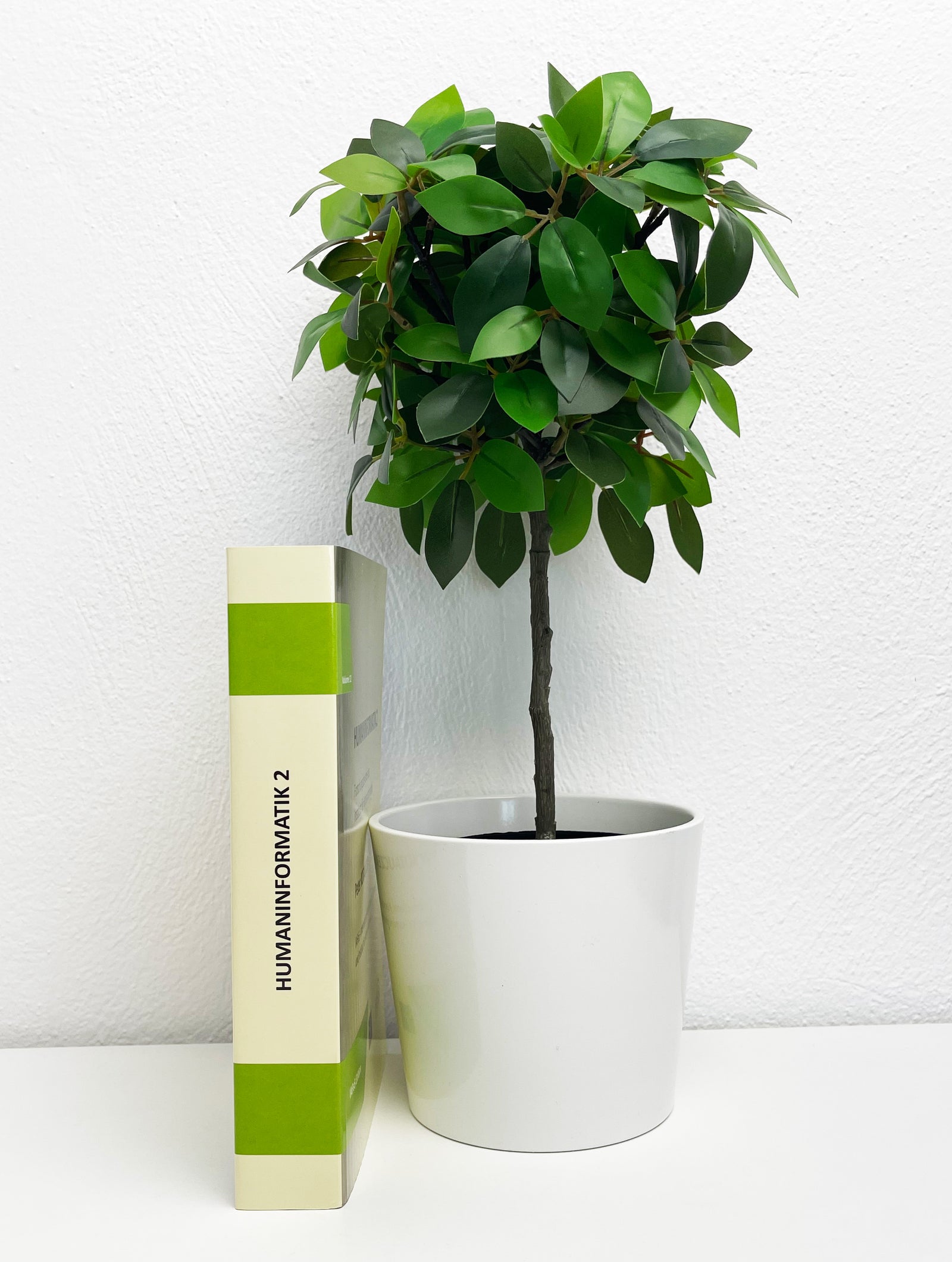 Peter Kotauczek Humaninformatik 2 Buch