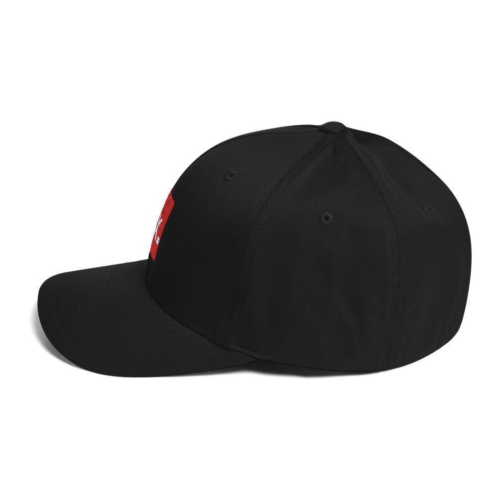 Fix the Money. Structured Flexfit Full Baseball Cap with Curved Brim