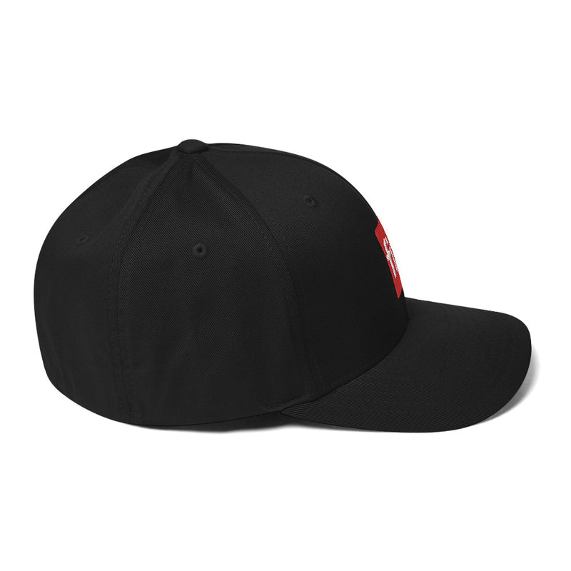 Fix the Money. Structured Flexfit Full Baseball Cap with Curved Brim