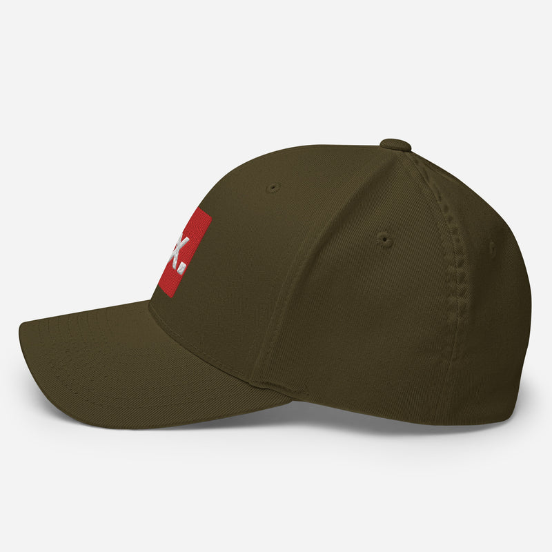Fix the Money. Structured Flexfit Full Baseball Cap with Curved Brim