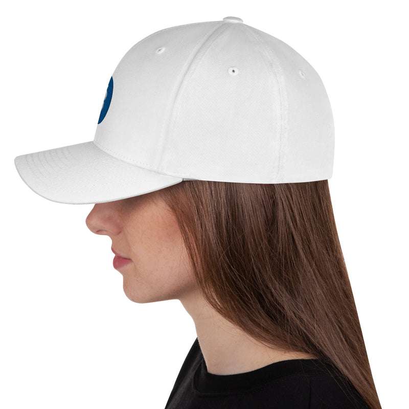 Was Bitcoin bringt. Structured Flexfit Full Baseball Cap with Curved Brim