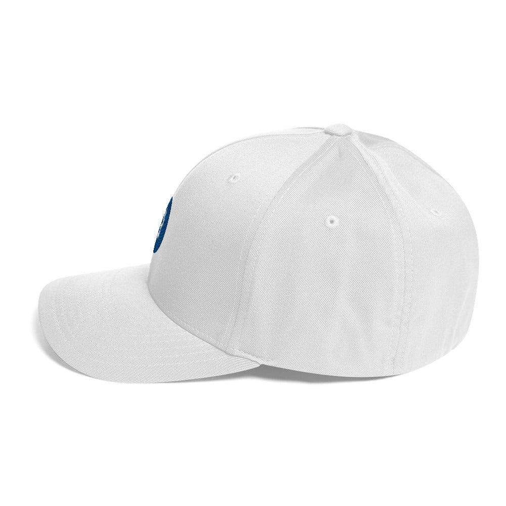 Was Bitcoin bringt. Structured Flexfit Full Baseball Cap with Curved Brim